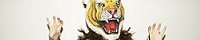 http://gig.ifdef.jp/banner.gif